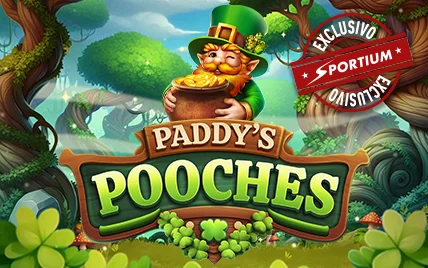 Paddy's Pooches