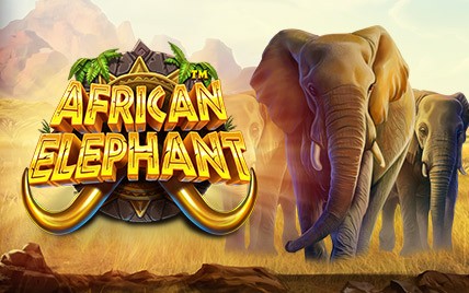 Elephant Riches
