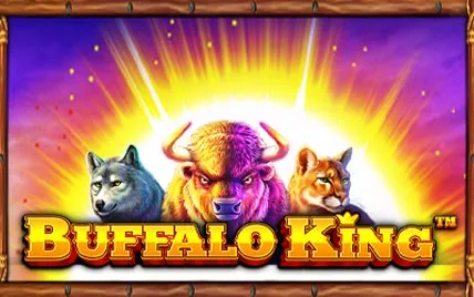 Buffalo King