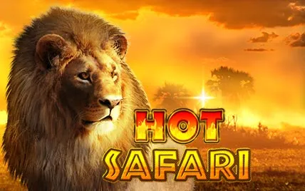 Hot Safari