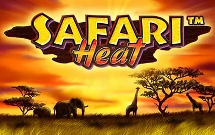 Safari Heat