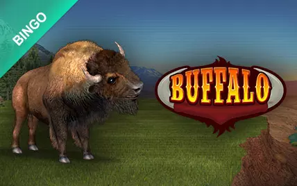 Buffalo Bingo
